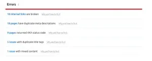 seo audit error